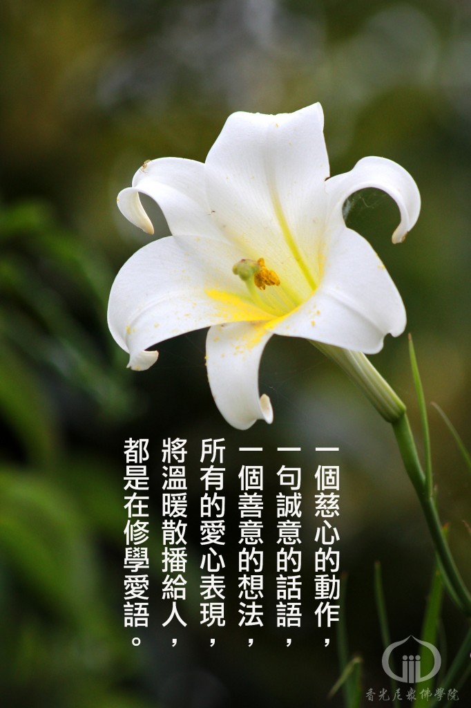 5_1041230