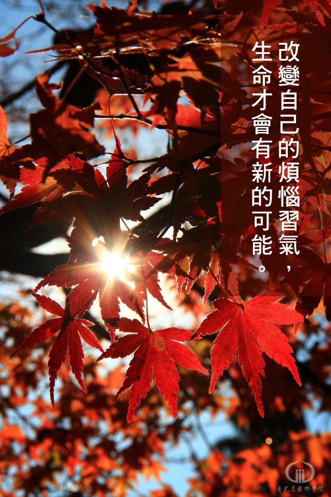 1050314