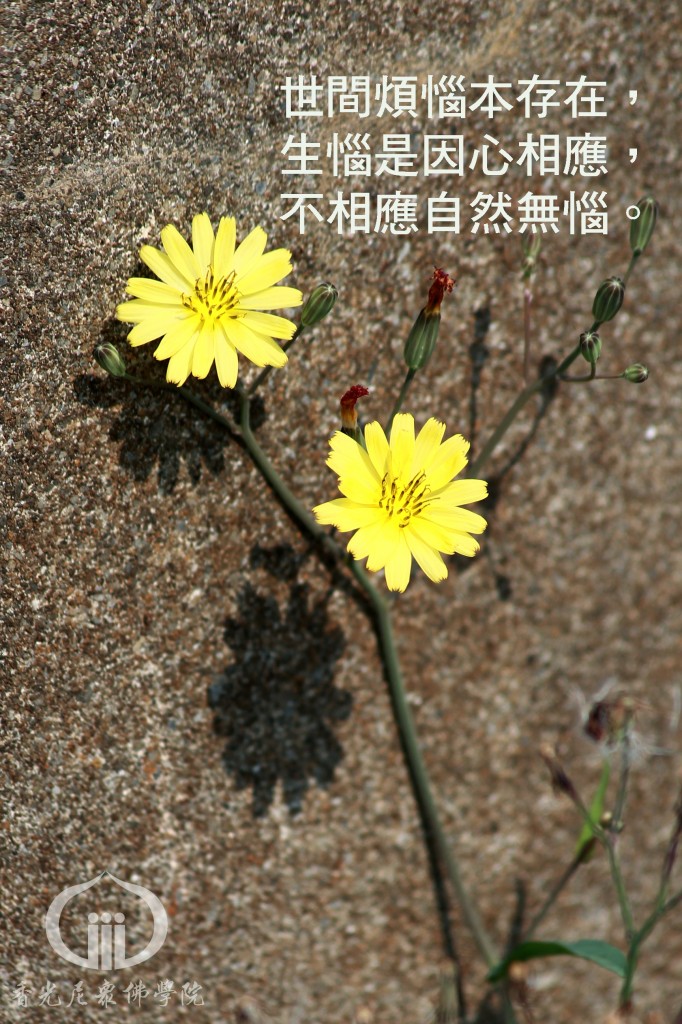 1050823_