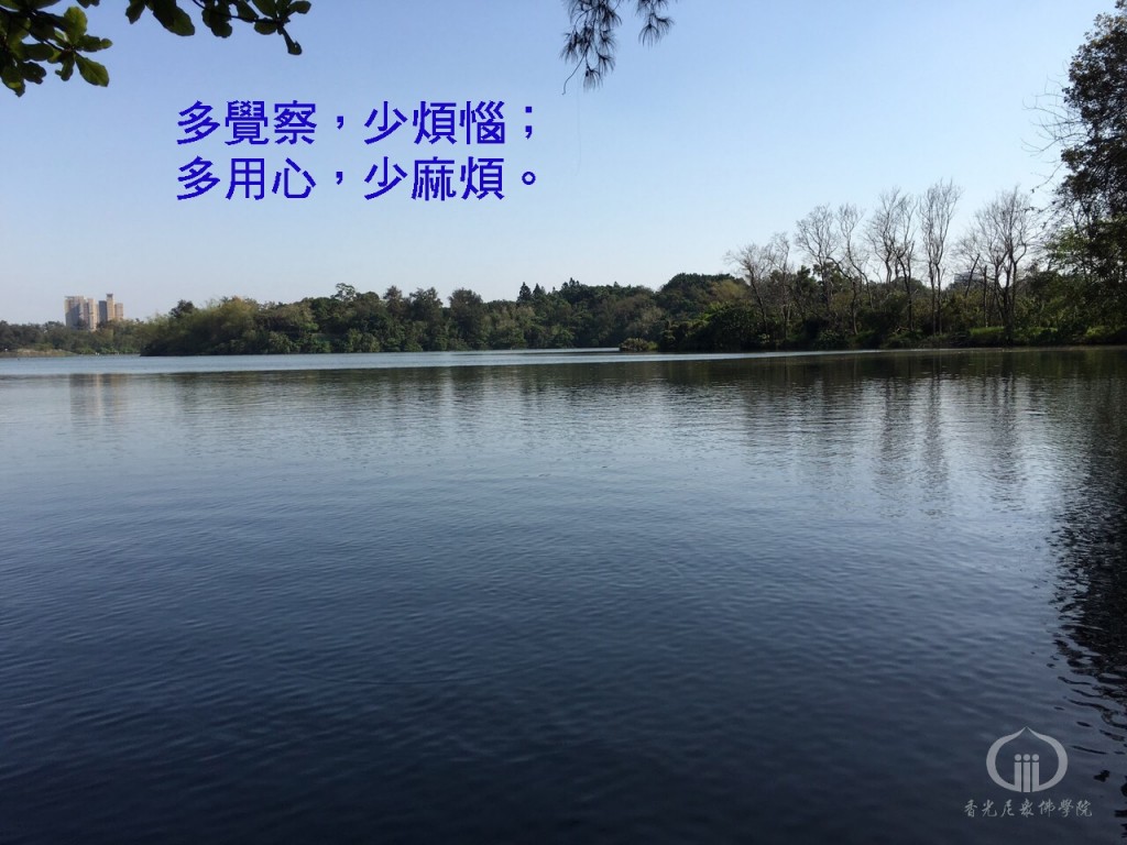 1050827