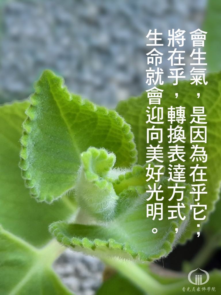 1120604