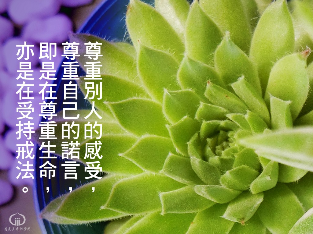 1130919