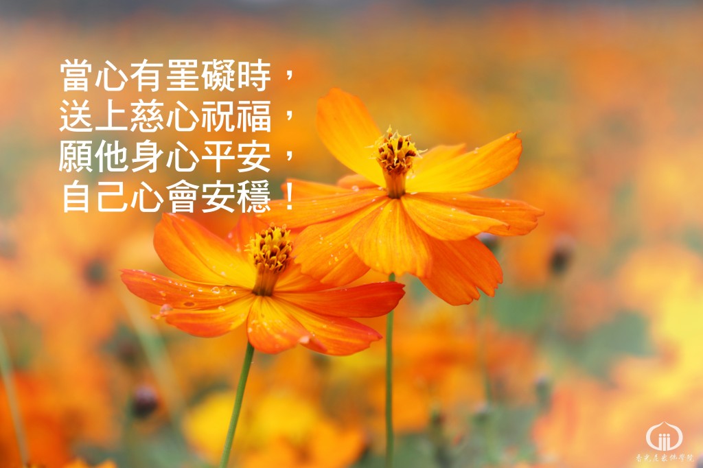 1140520