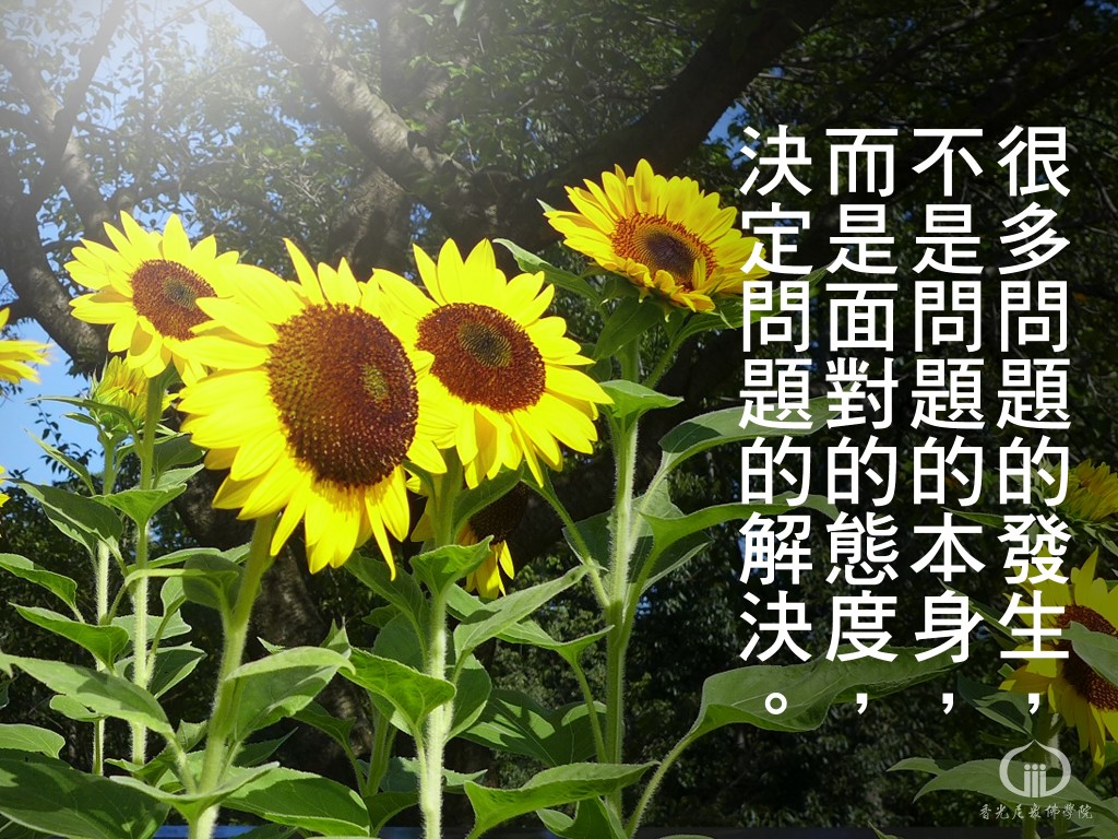 1140529