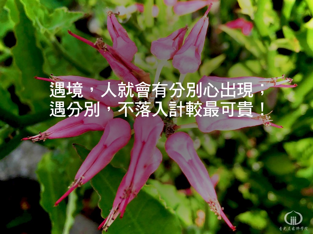 1140610