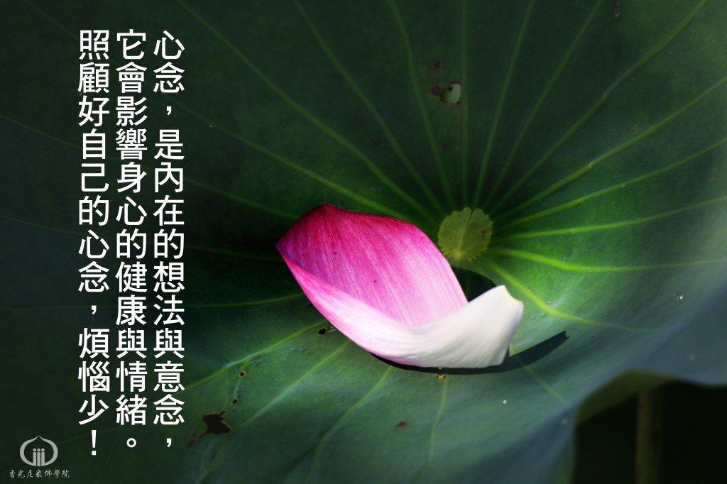 1140617