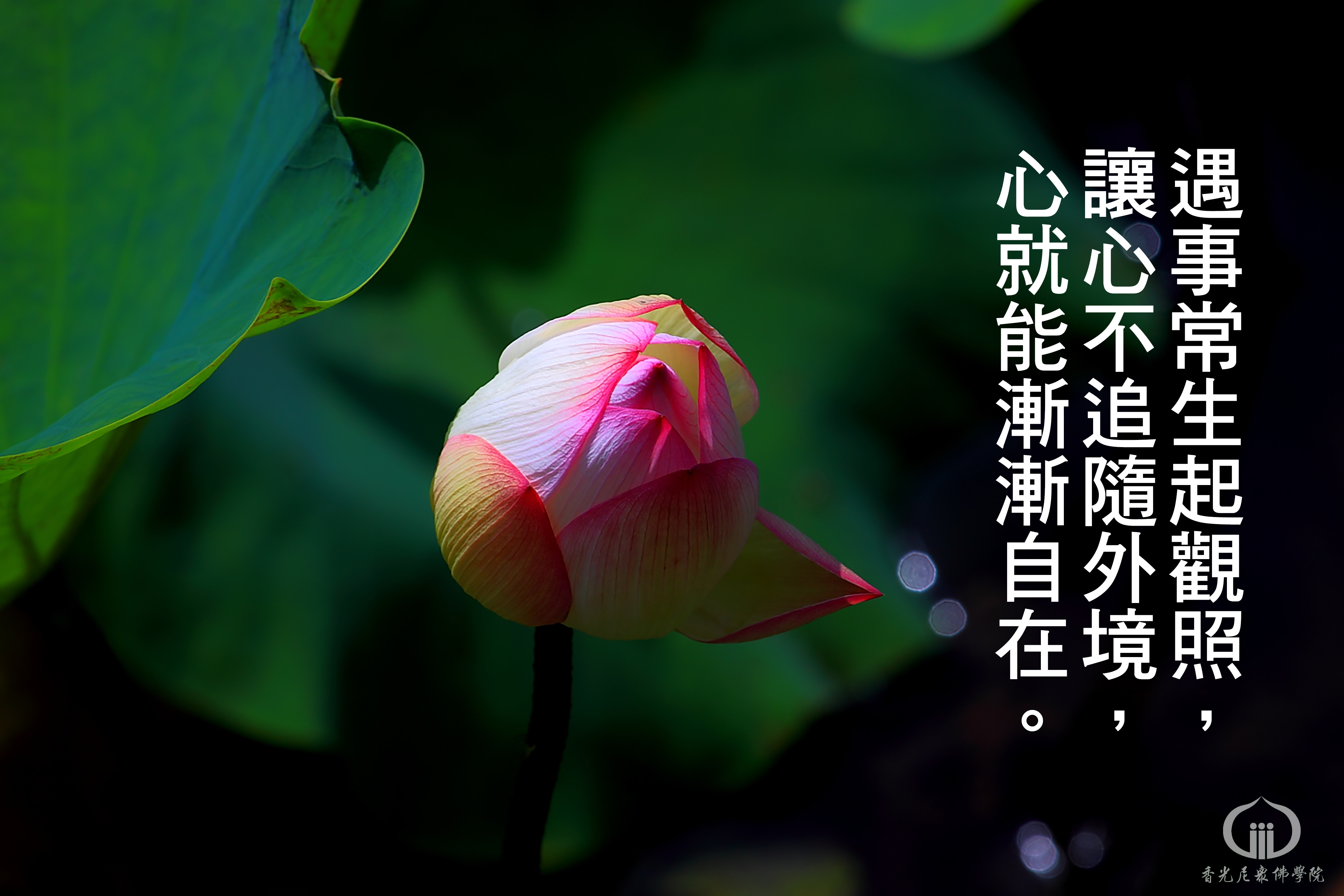 1140706