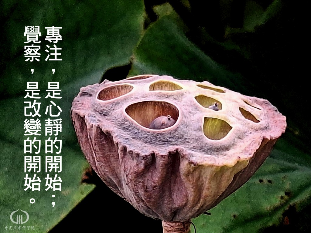 1140813