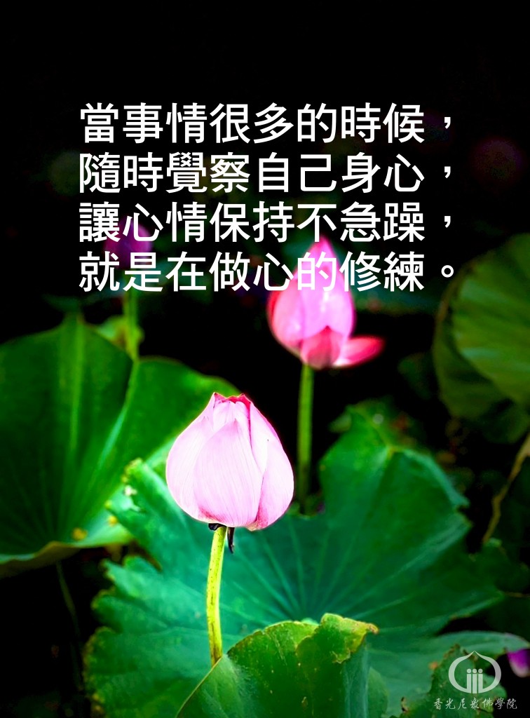 1140814