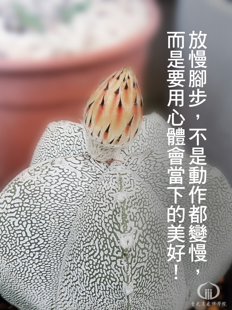 1141026