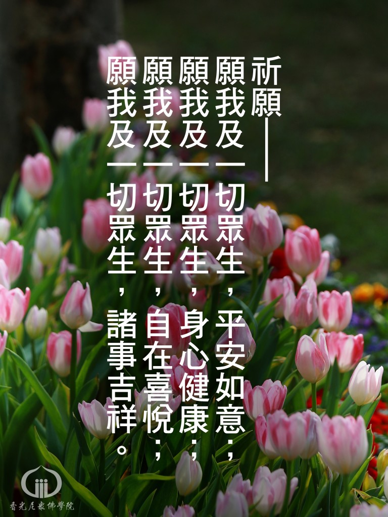 1150504