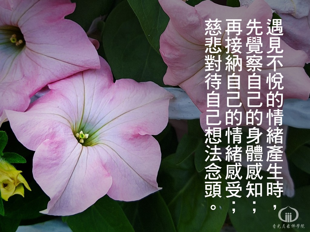 1150511