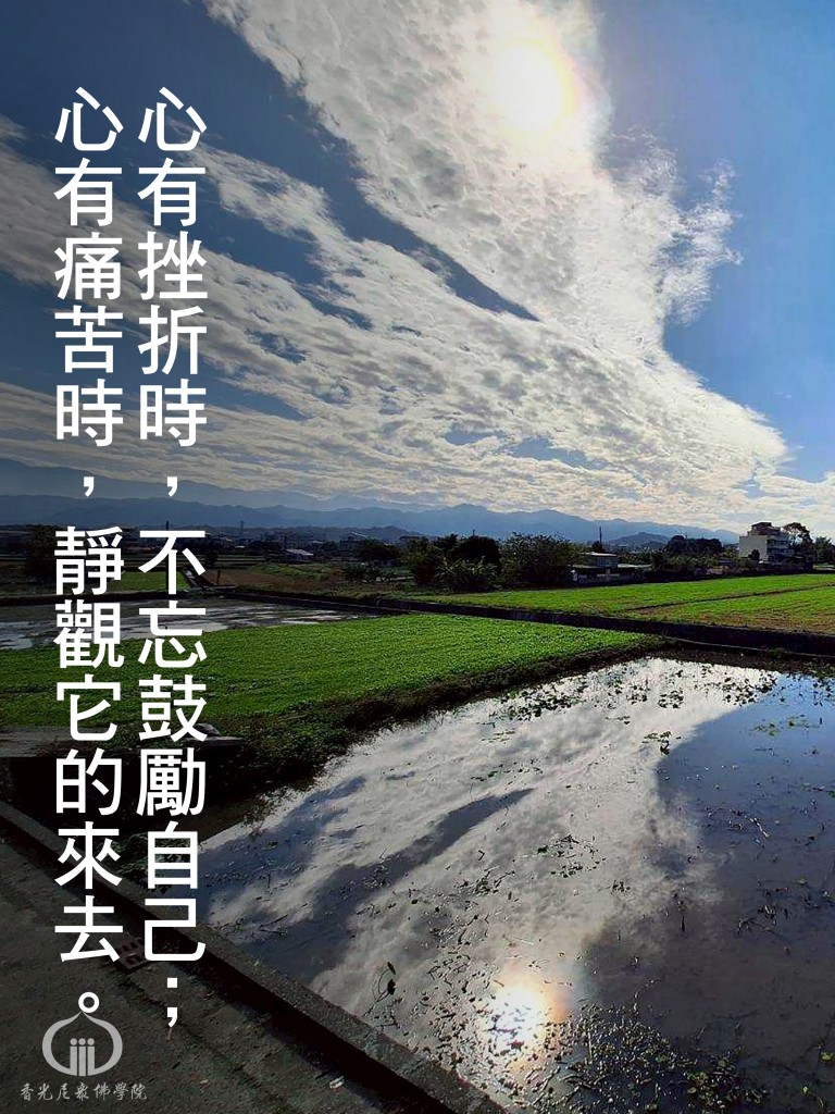 1150604