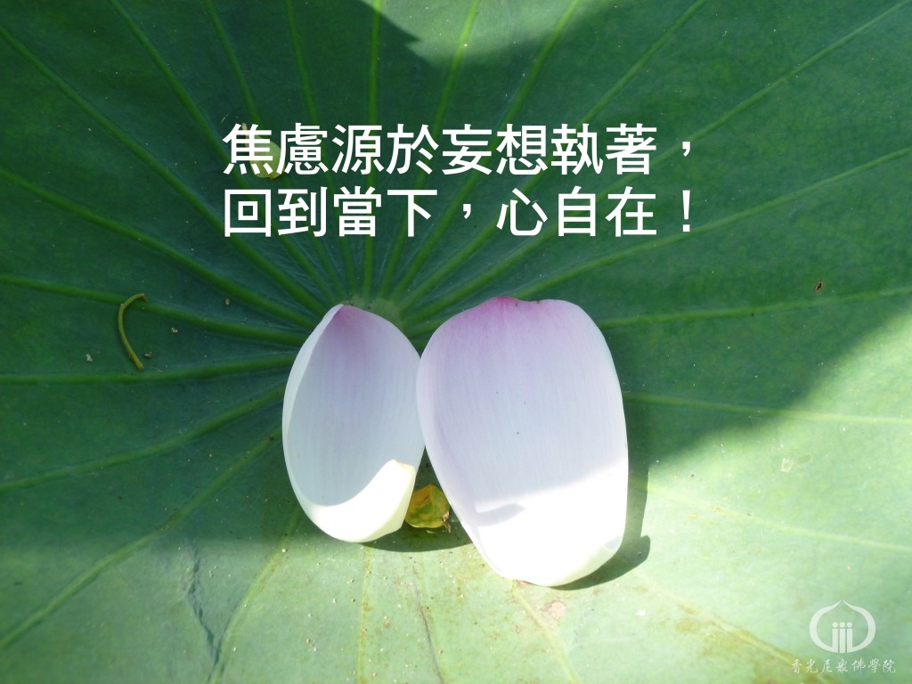 1150608