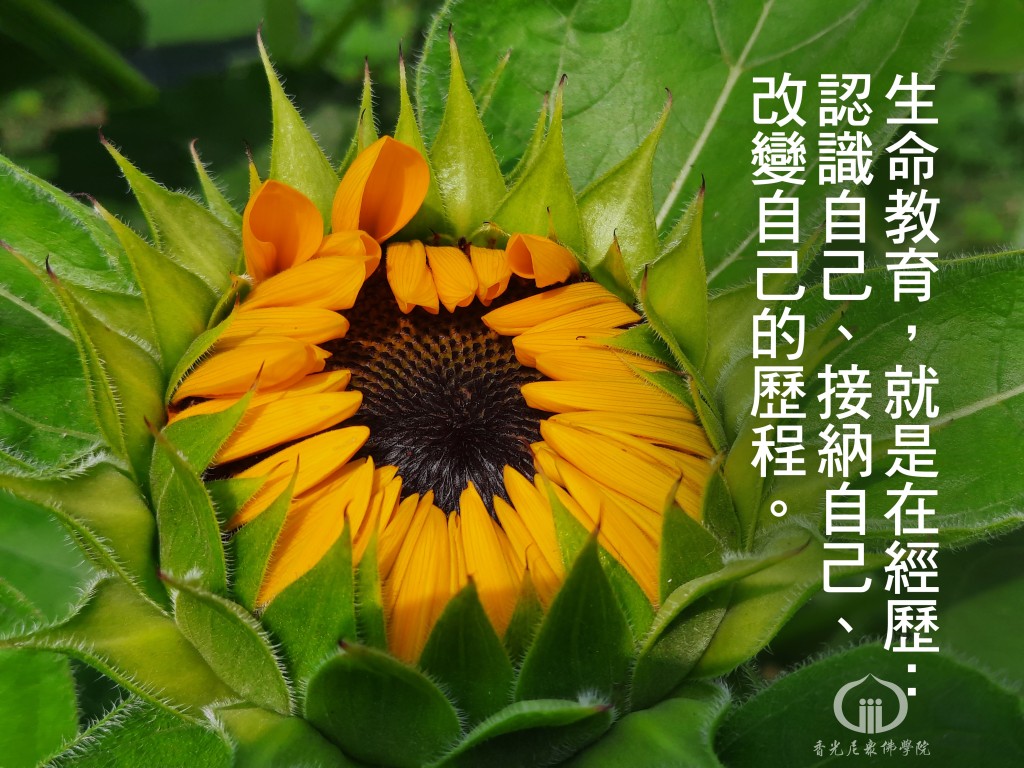 1150620