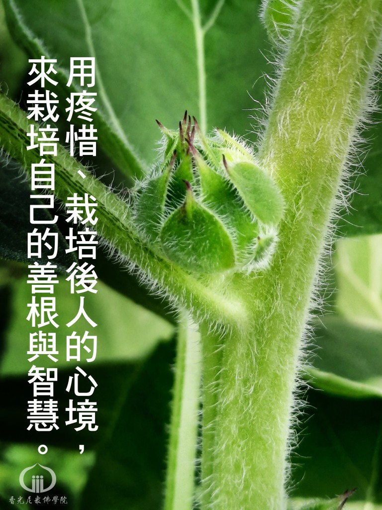 1150727
