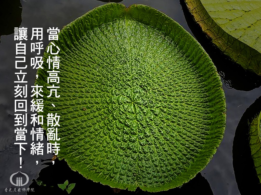 1150807