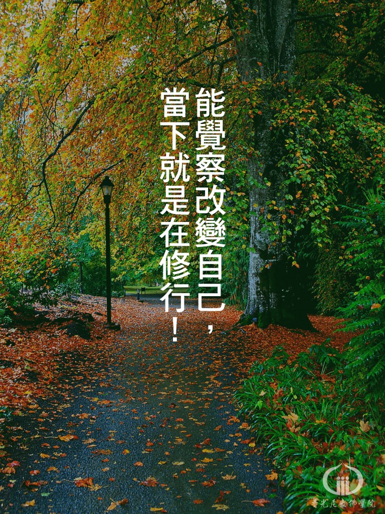 1150929