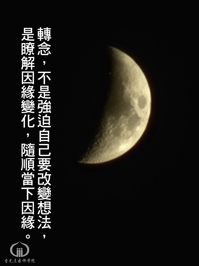 1151025